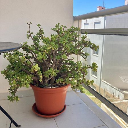 Appartement Cavalo-Marinho Nazaré Extérieur photo